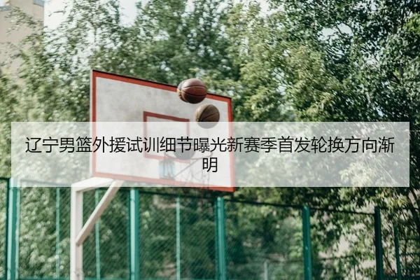 辽宁男篮外援试训细节曝光新赛季首发轮换方向渐明