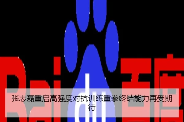 张志磊重启高强度对抗训练重拳终结能力再受期待